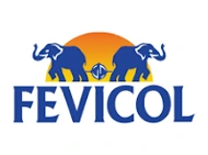 Fevicol