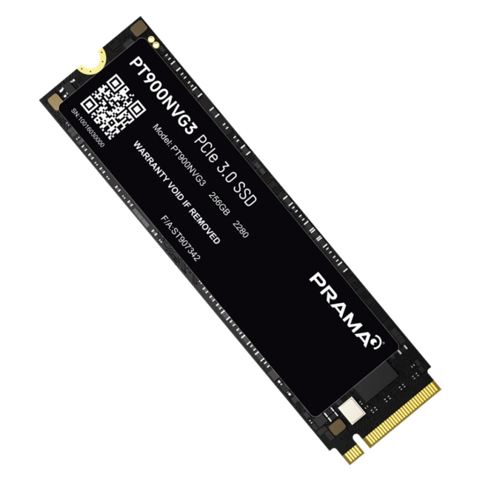 Prama Internal SSD 256GB NVMe (PT900NVG3) - Image 2