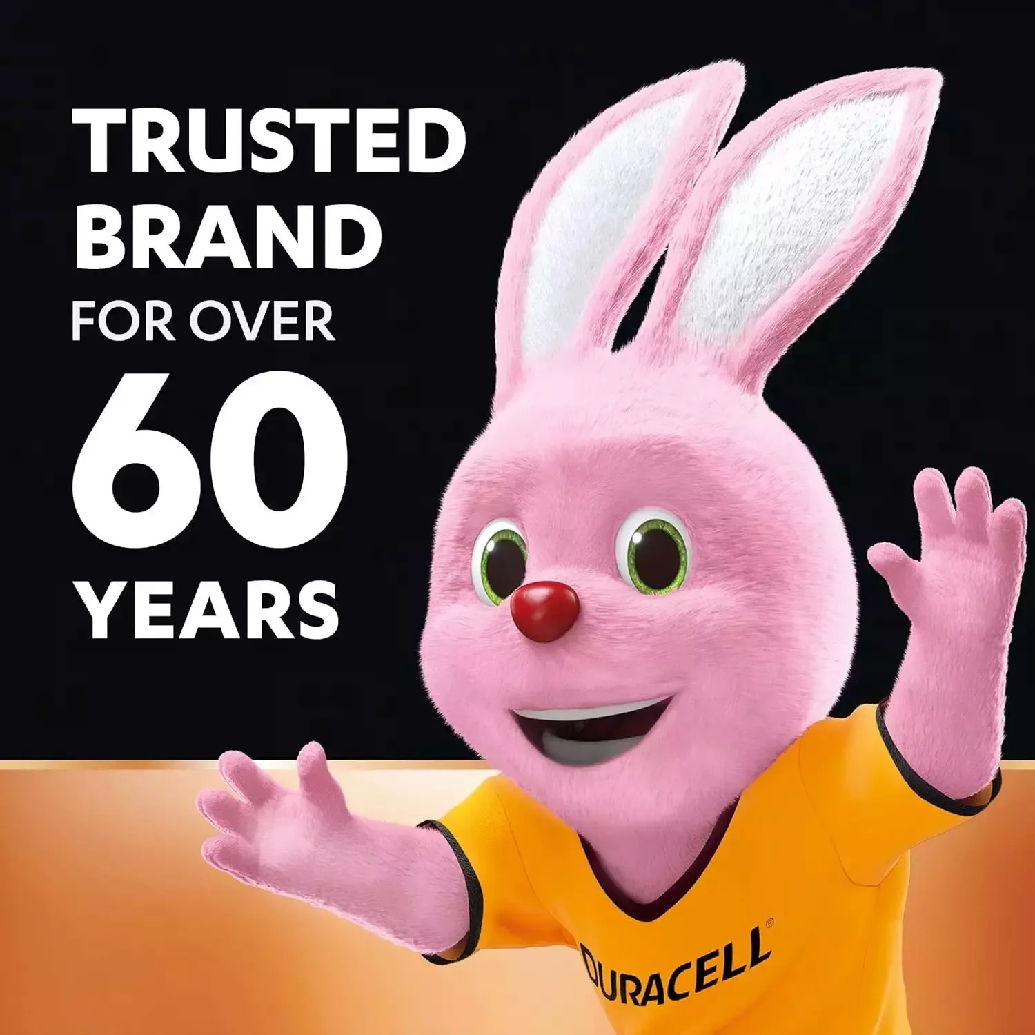 Duracell AA Alkaline Battery (Pack of 12) - Image 2