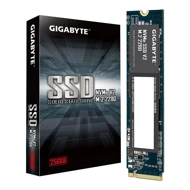 Gigabyte Internal SSD 256GB NVMe V2